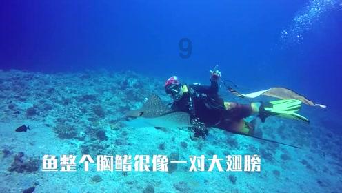 夏季纽扣裙