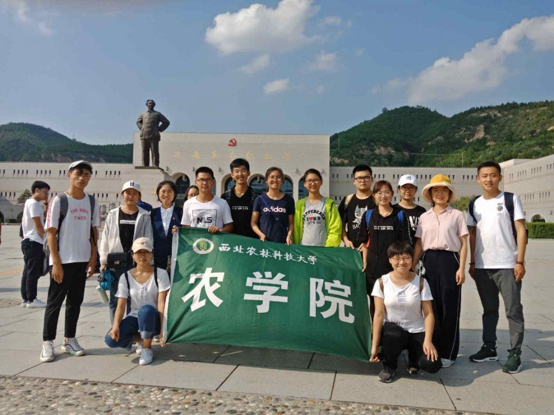 合并成十