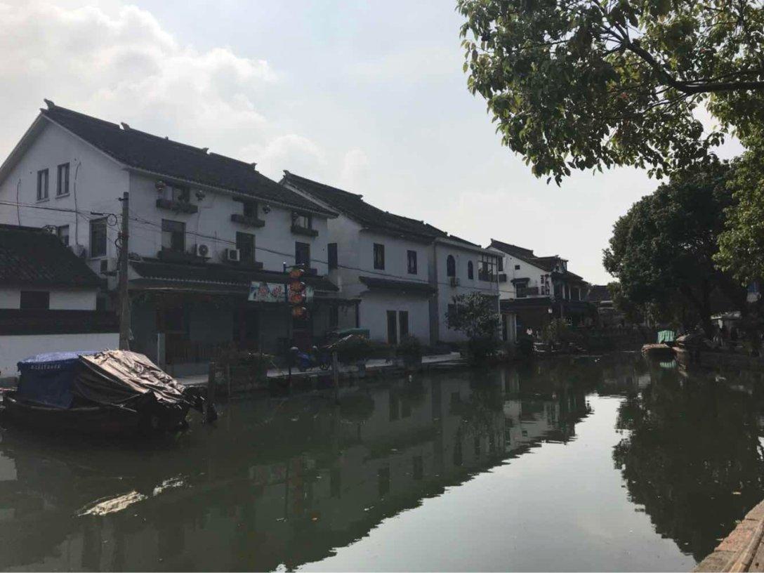 卡通考拉救援
